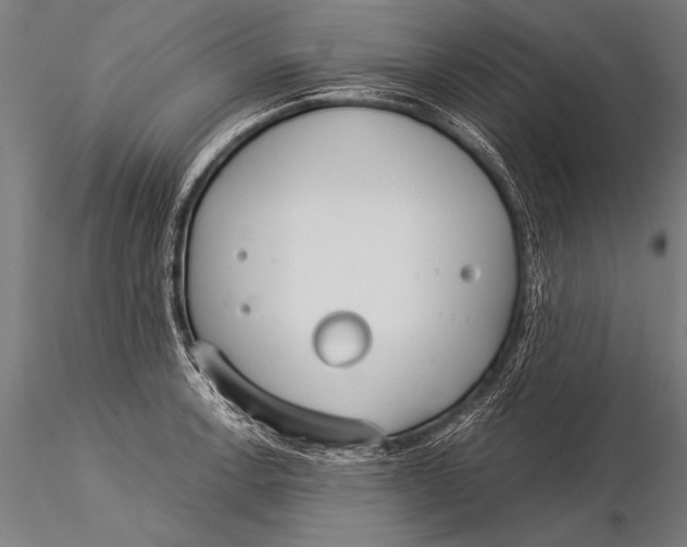 X0000116021138200912111345