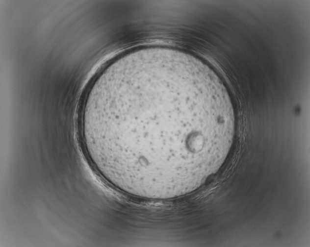 X0000116021139200912111345