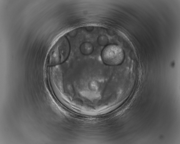 X0000116021141200912111345