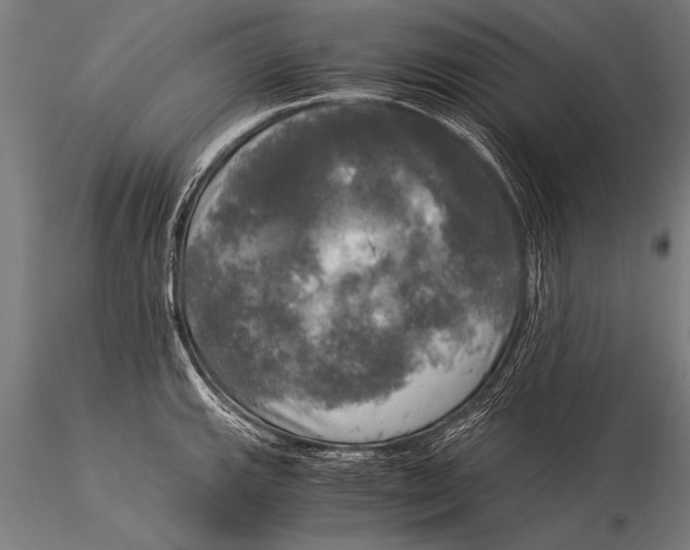 X0000116021143200912111346