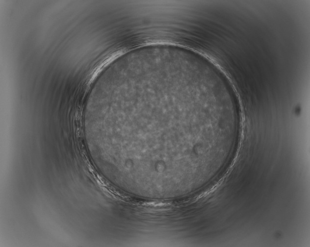 X0000116021145200912111346