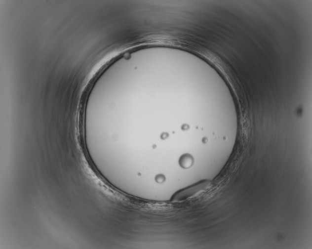 X0000116021147200912111346