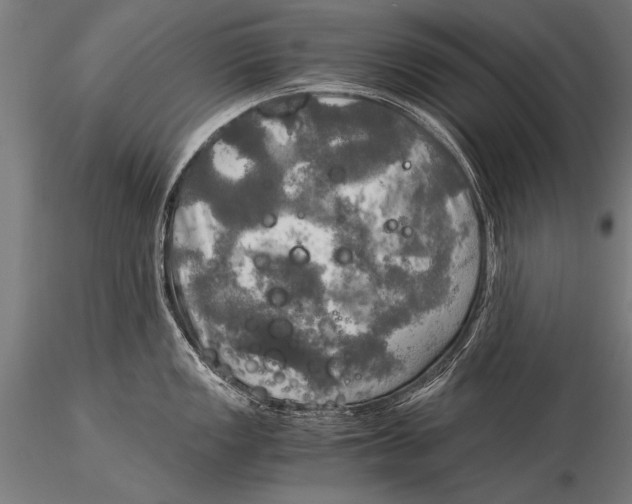 X0000116021149200912111346