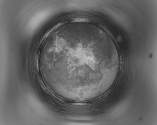 X0000116021151200912111346