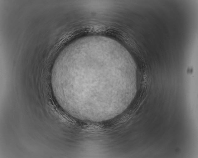 X0000116021153200912111345