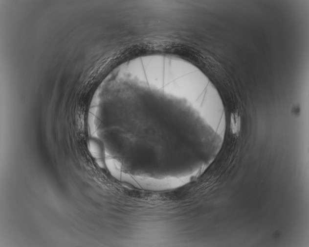 X0000116021155200912111345