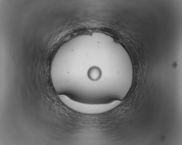 X0000116021157200912111345