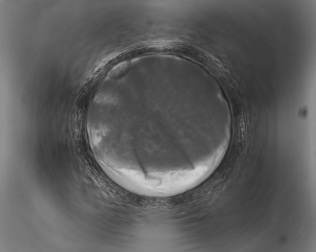 X0000116021158200912111345