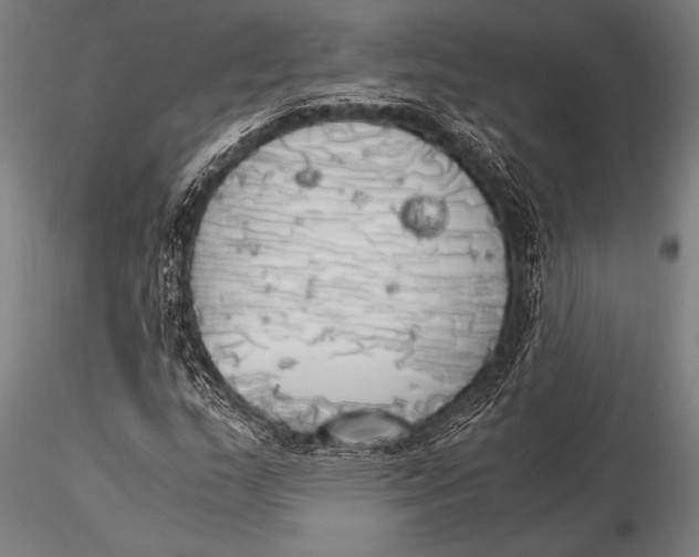 X0000116021159200912111345