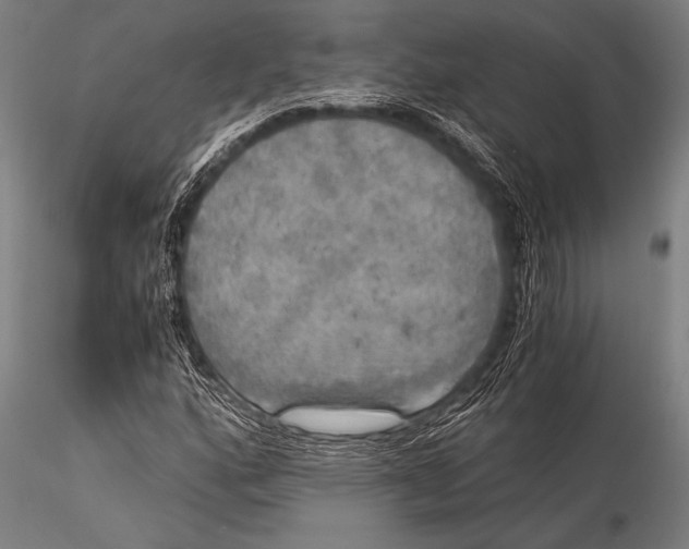 X0000116021160200912111345