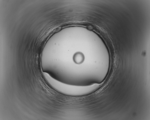 X0000116021161200912111345