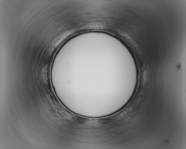 X0000116021162200912111345