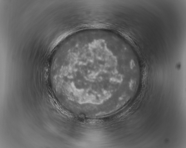 X0000116021163200912111345