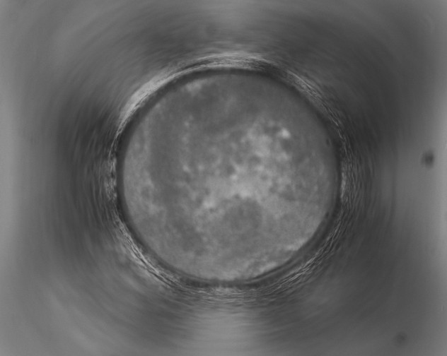 X0000116021164200912111345