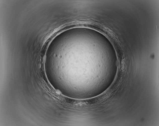 X0000116021165200912111345