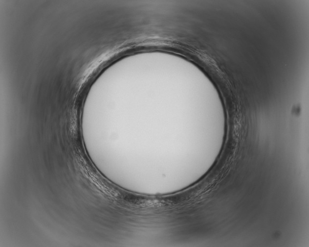 X0000116021167200912111345