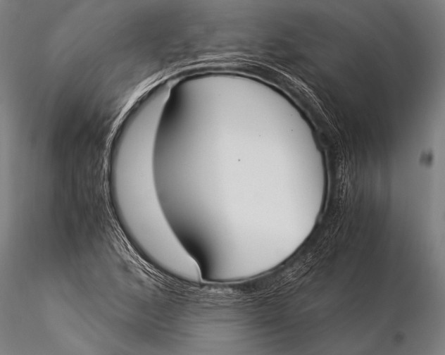 X0000116021168200912111345