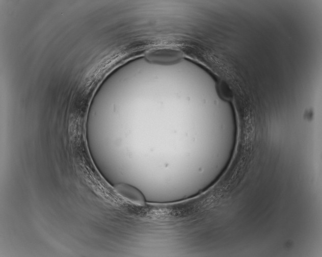 X0000116021169200912111345