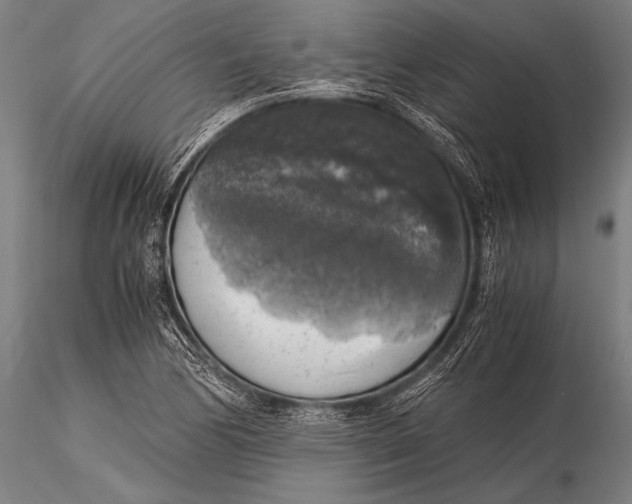 X0000116021170200912111345