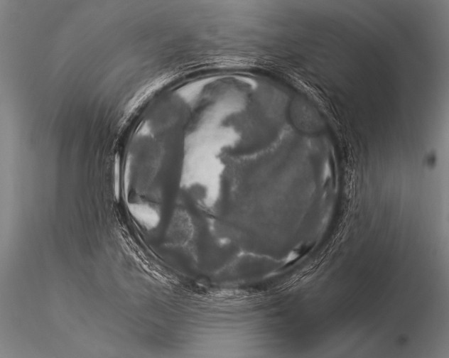 X0000116021171200912111345