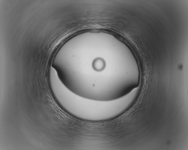 X0000116021173200912111345