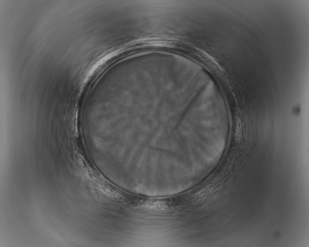 X0000116021174200912111345