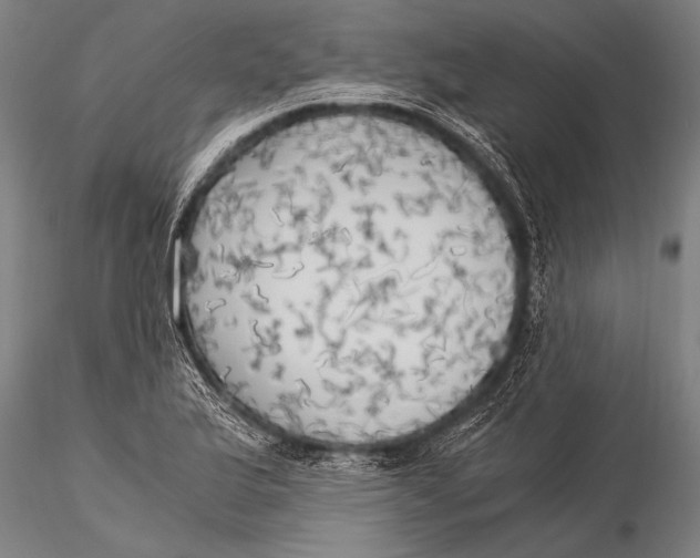 X0000116021175200912111345