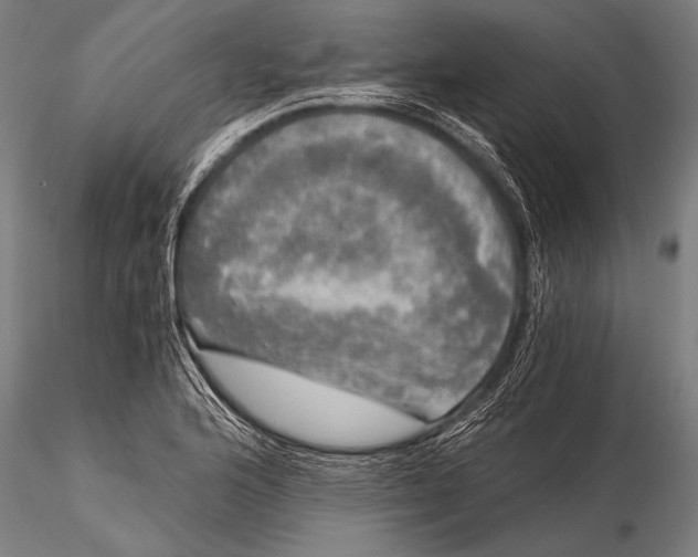 X0000116021176200912111345