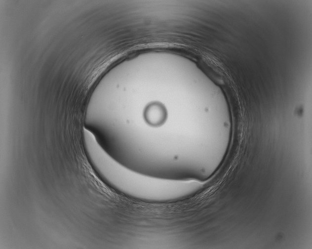 X0000116021177200912111345