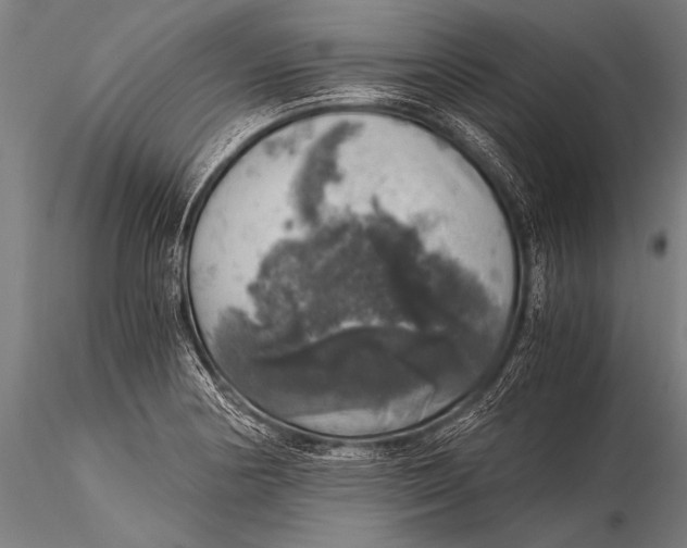 X0000116021178200912111345