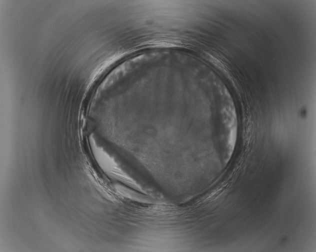 X0000116021179200912111345