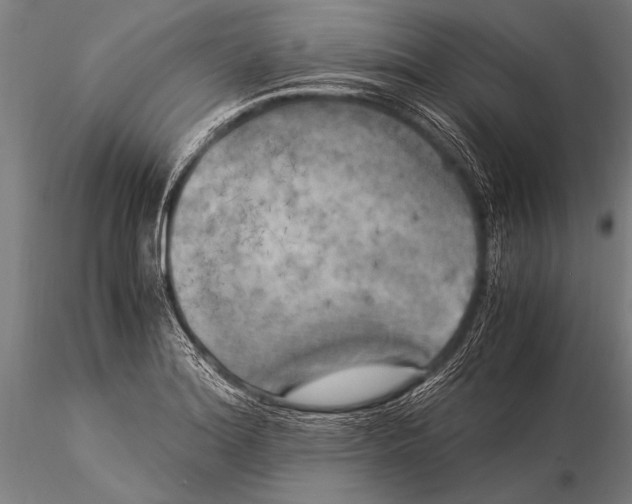 X0000116021180200912111345