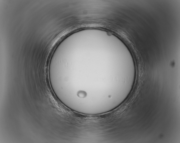 X0000116021181200912111345