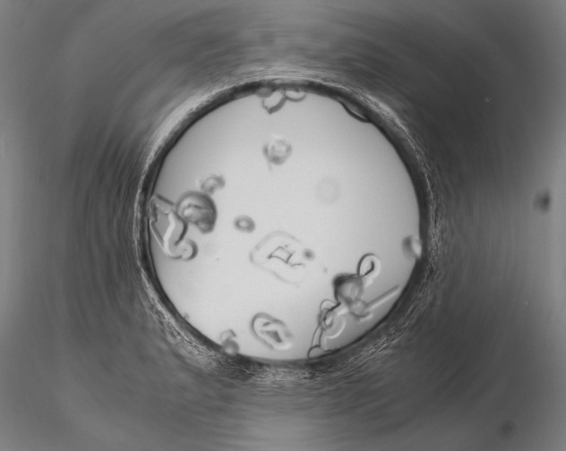 X0000116021183200912111345