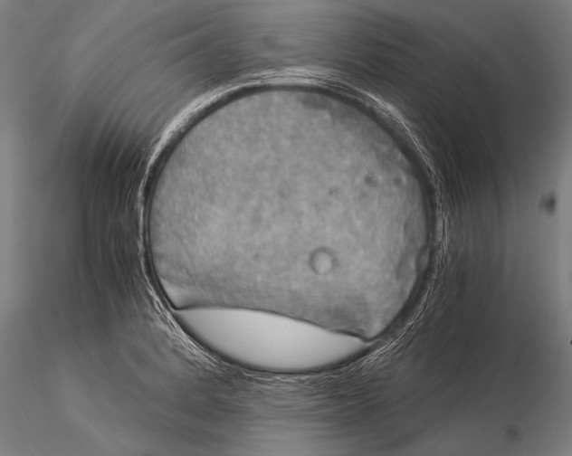 X0000116021184200912111345