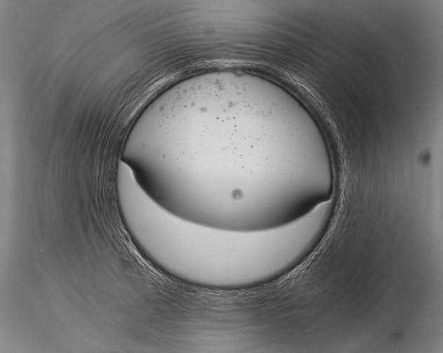 X0000116021185200912111345