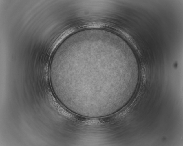 X0000116021186200912111345