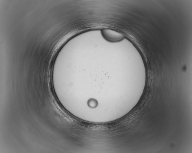 X0000116021187200912111345