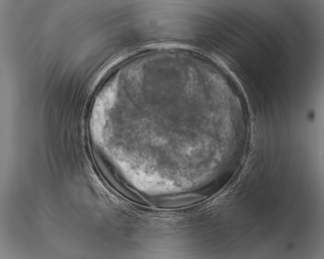 X0000116021189200912111344