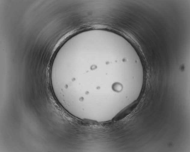 X0000116021190200912111344