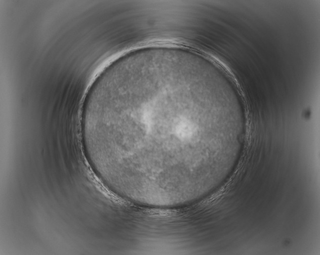 X0000116021192200912111344