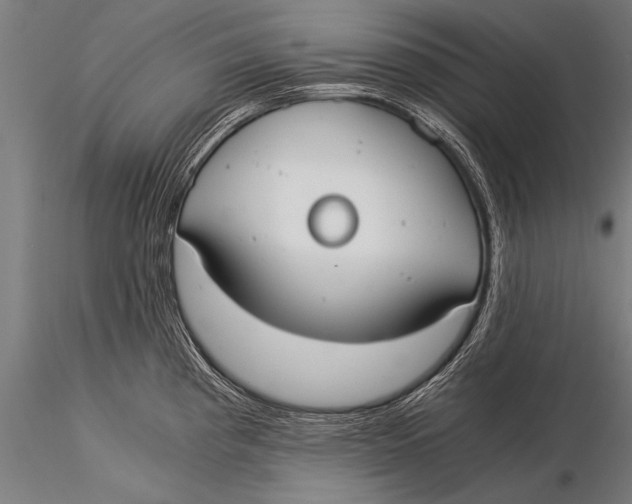 X0000116021193200912111344