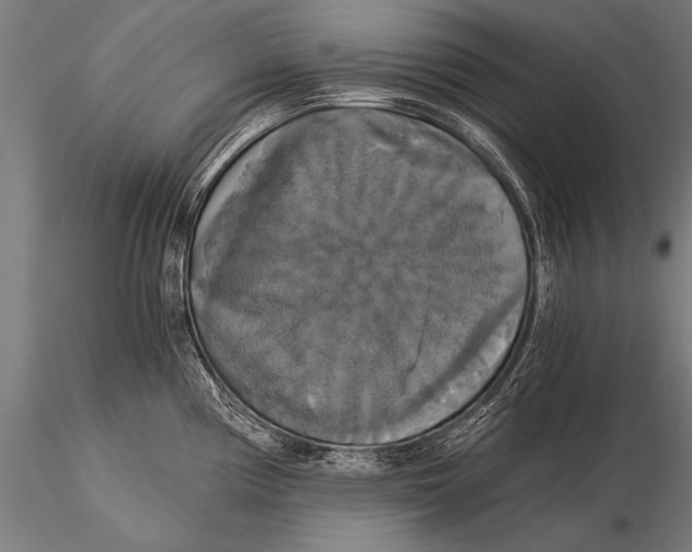 X0000116021194200912111344