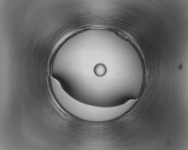 X0000116021195200912111344