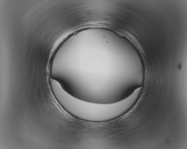 X0000116021196200912111344