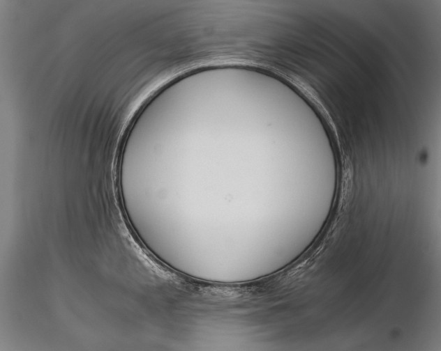 X0000116021197200912111344