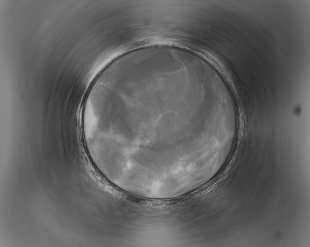 X0000116021198200912111344