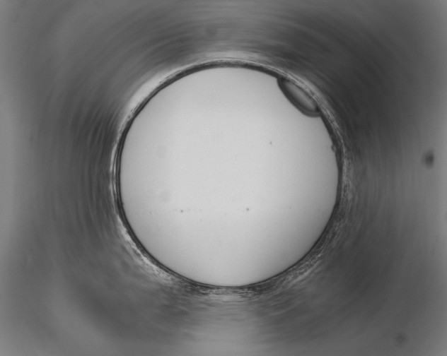 X0000116021199200912111344