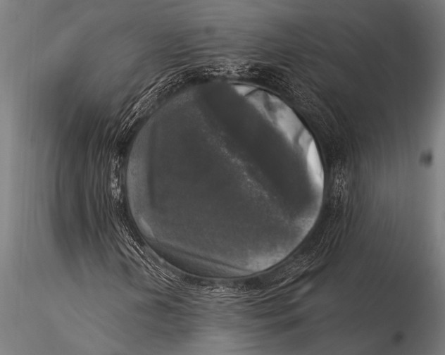 X0000116021202200912111344