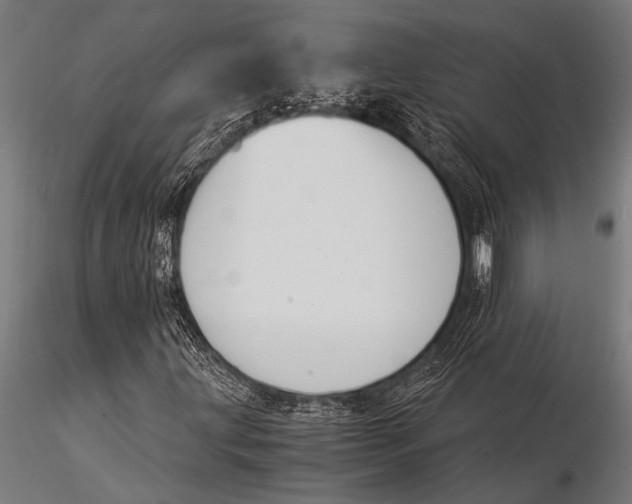 X0000116021203200912111344